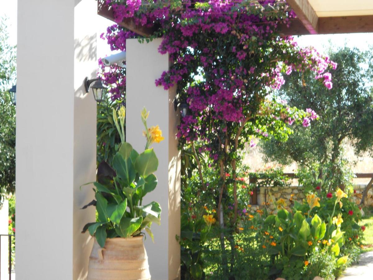 Livadaki Village Hotel Skala (Kefalonia) Exterior photo