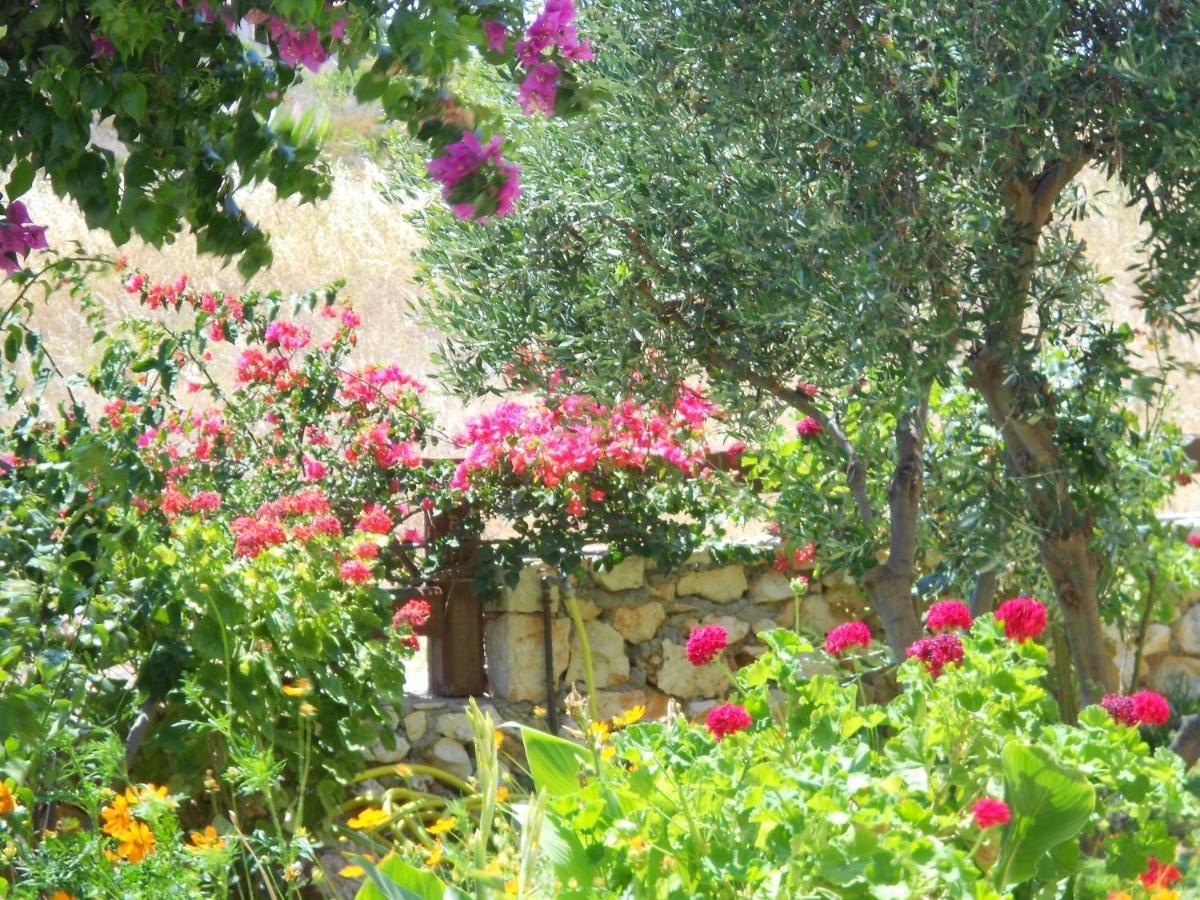 Livadaki Village Hotel Skala (Kefalonia) Exterior photo