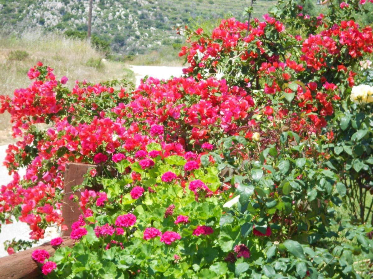Livadaki Village Hotel Skala (Kefalonia) Exterior photo