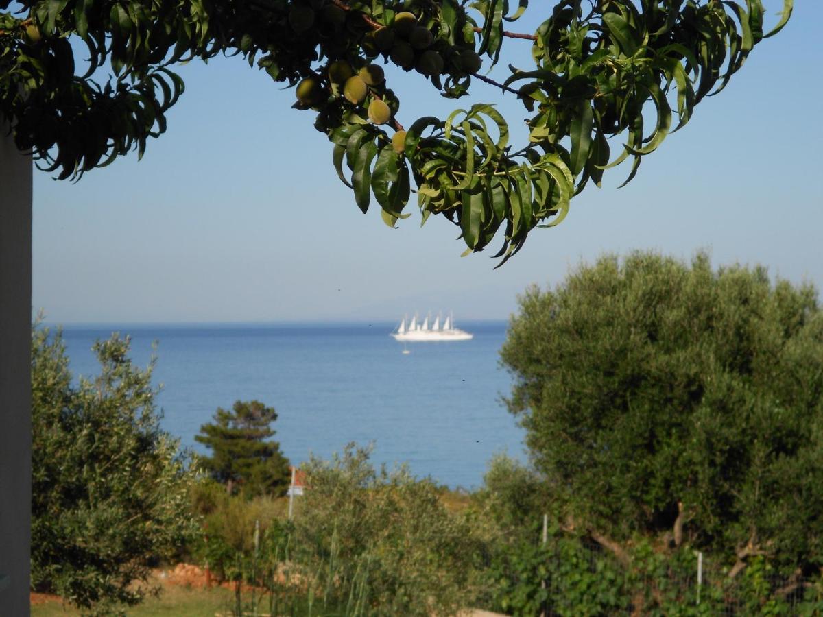 Livadaki Village Hotel Skala (Kefalonia) Exterior photo